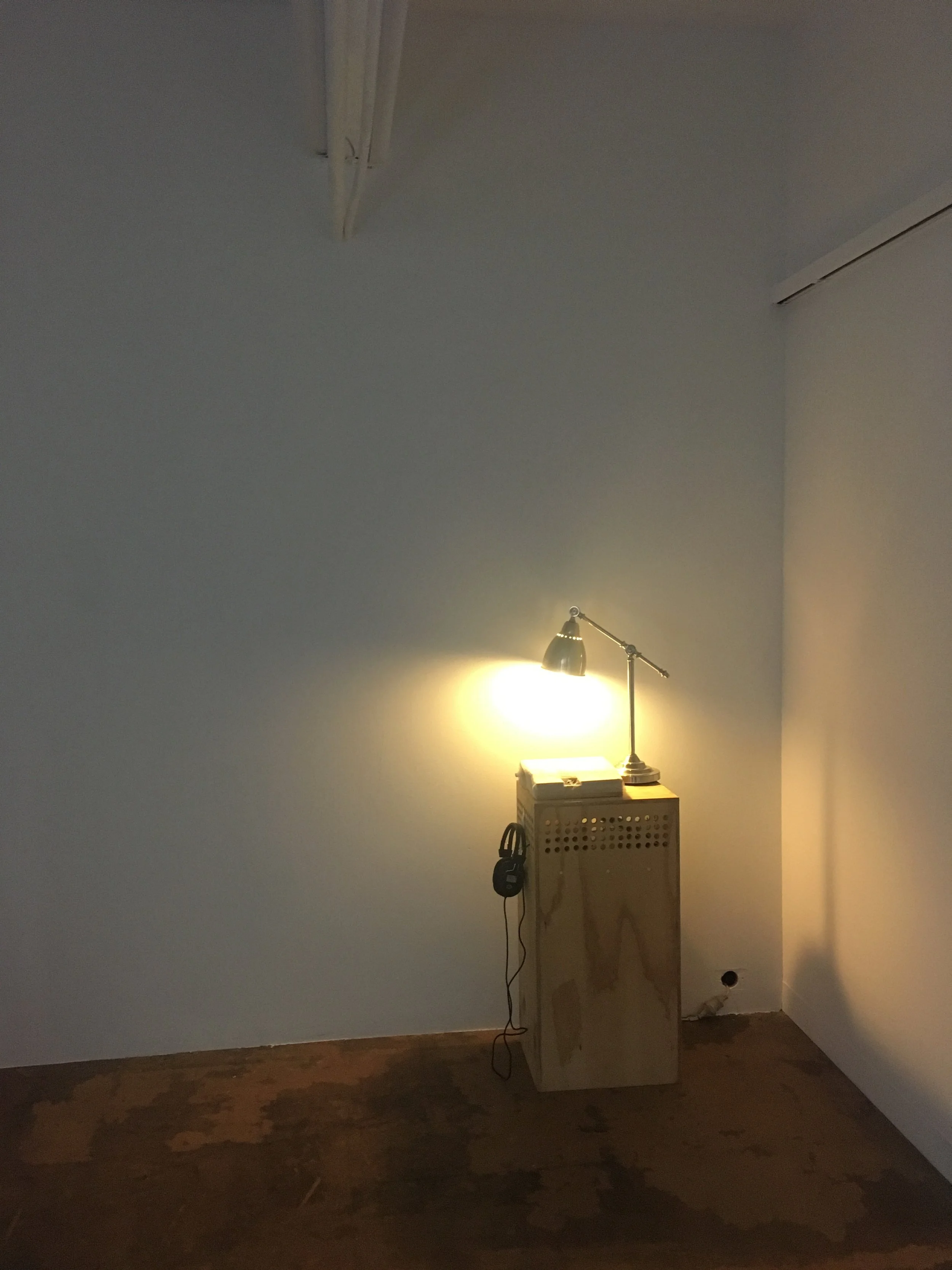 Installation view, Bus Projects, October 2017